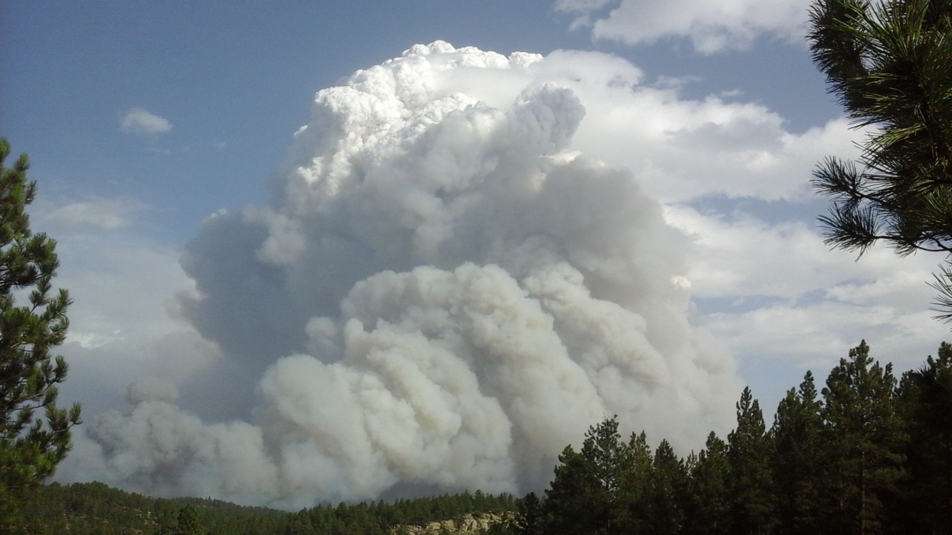 Roundup fire